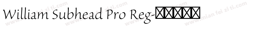 William Subhead Pro Reg字体转换
